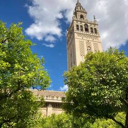 Der Glockenturm der Kathedrale
