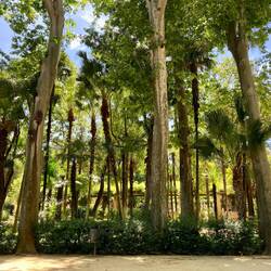 Park mit viel Grün beim Plaza de España