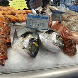 Die hätte ich lieber lebendig unter Wasser getroffen 😵