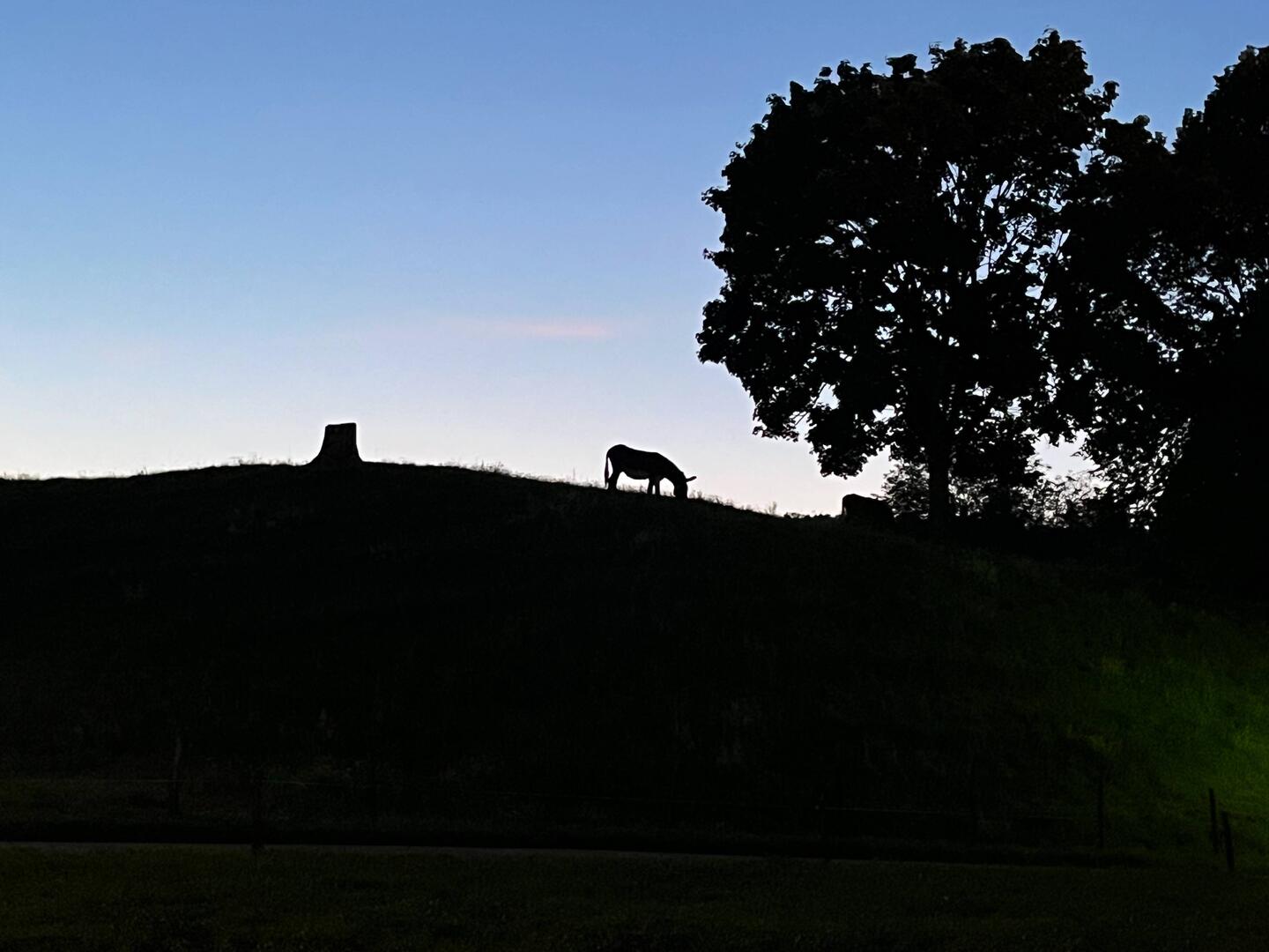 Gestern Abend in Pruntrut...