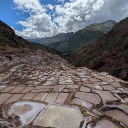 In summer (dry season) they are all white which is way more spectacular apparently