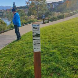 Wanaka.... hadn't seen this before