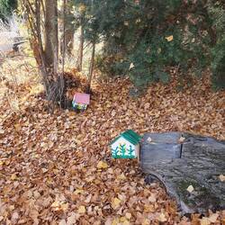 Fairy houses Wanaka Walkway