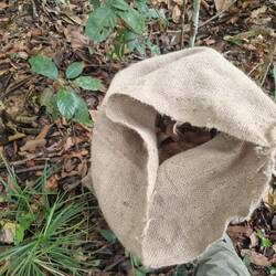 Sacks of leaves