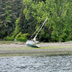 Beached sailboat near Kitsap Memorial SP. Wonder if they just "moor" it this way...
