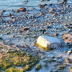 Auf dem Felsen da steh ich...