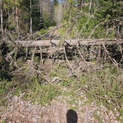 Oha. Weg versperrt: Gepäck ab und alles einzeln drüberheben.