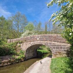 Leo is really enjoying these warm Spring days