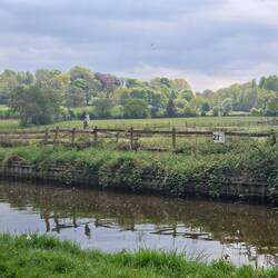 Anybody spot the heron? It stayed for ages, just perching, watching.