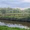 Anybody spot the heron? It stayed for ages, just perching, watching.