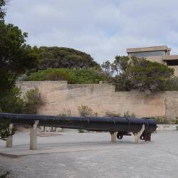 No Firearms allowed.