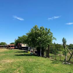Der Bauernhof/Weingut