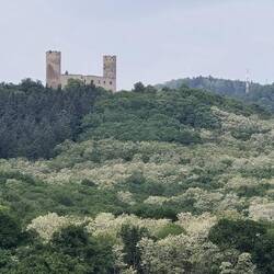 Castle had a commanding view over the country side and vineyards