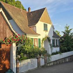 Pretty houses on the main street
