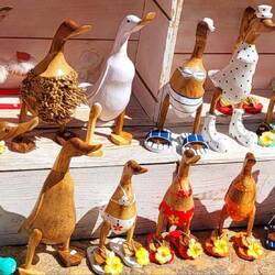 Das Wahrzeichen von Sarlat! Enten und Gänse in allen möglichen Variationen.