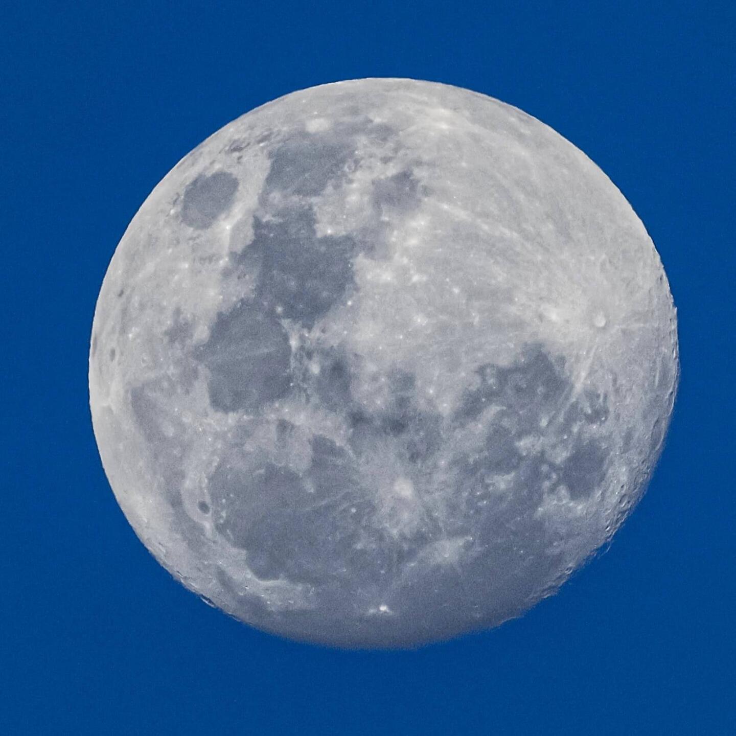 Vollmond! Eine runde Sache.