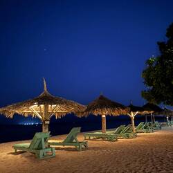 Idylle mit vielen kleinen gefräßige, stechfreudigen Biester ...