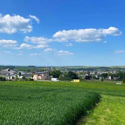 Erster Blick auf Kastellaun