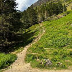 Der Weg zu Hagrids Hütte