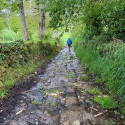 Downhill through the stream