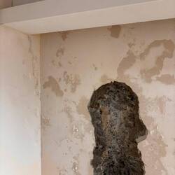 Schimmeliges Loch in der Wand?!