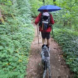 Wir versuchen dem Regen zu enteilen.