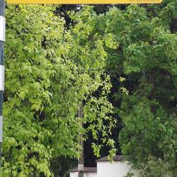 Zur Seiseralm ist es auch nicht mehr weit.😁