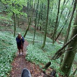 Ein steiler Serpentinenpfad....