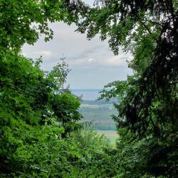 Wiedermal ein Blick zum Chiemsee.