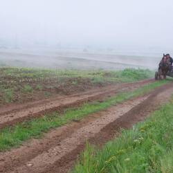 Die Arbeit wird mit dem Traktor erledigt. Tägliche Botengänge noch nicht.