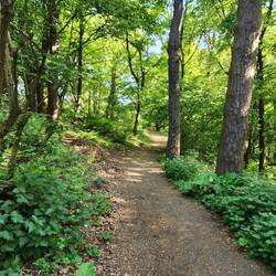 Our morning hike up to The Wallace Monument