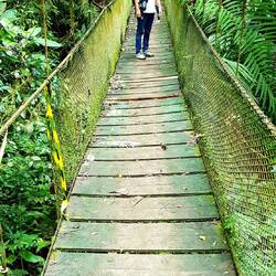 Soberania National Park.