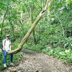 Soberania National Park.