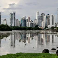Reflection during low tide.