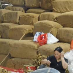 ballots de feuilles de tabac pour vente au VN et à l'étranger