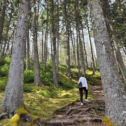 Emma hiking in the moss