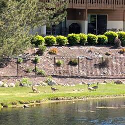 Thanks for the entertainment