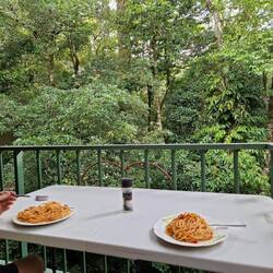Z'Nacht ofem Balkon vo üsem Hüsli. De Tucan esch scho lang wäg.
