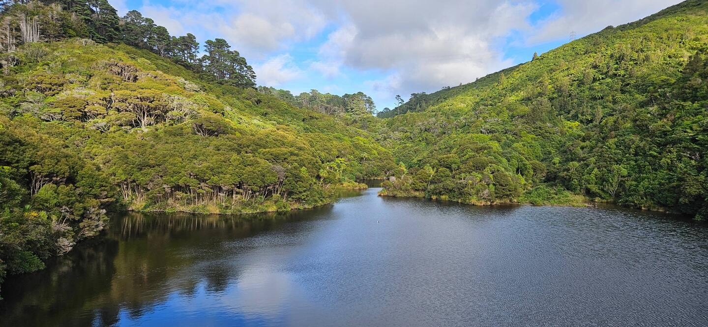 Looking out over the water behind one of the dams at Zealandia.