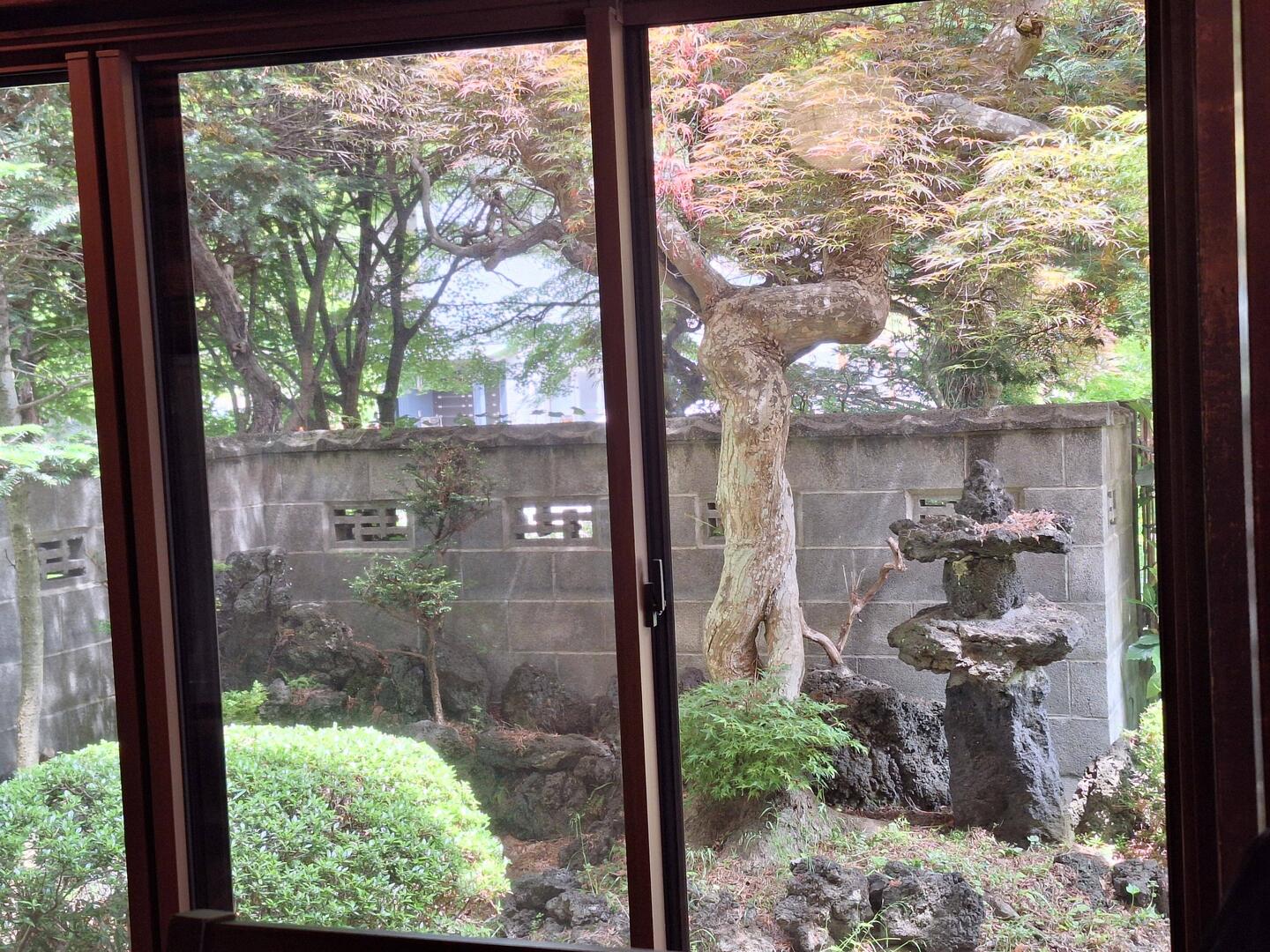 Ausblick vom Restaurant in den Garten