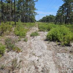 Super anstrengend durch den Sand...
