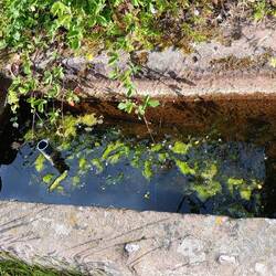 Das haben wir uns glücklicherweise ersparen können ;)