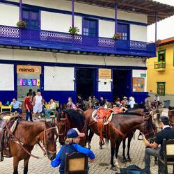 Tu m'attends là Jolly Jumper !