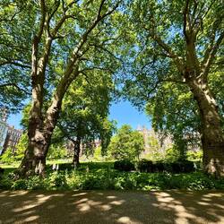 Peaceful Inner Temple Gardens