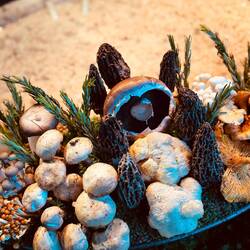 Mushroom 🍄‍🟫 & Truffle Risotto