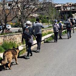 der Hund folgt uns bis Göreme