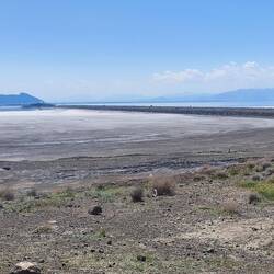 stellenweise trocken