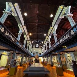 Hunters Museum in der University of Glasgow