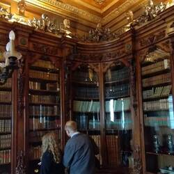 Revoltella's library