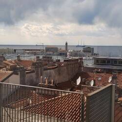 View from the Revoltella gallery